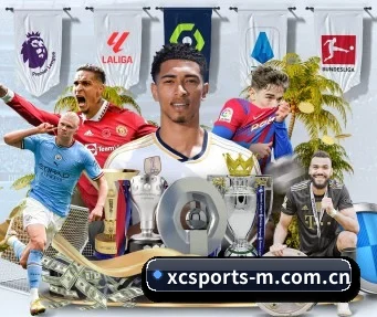 国际化进程(XC SPORTS)